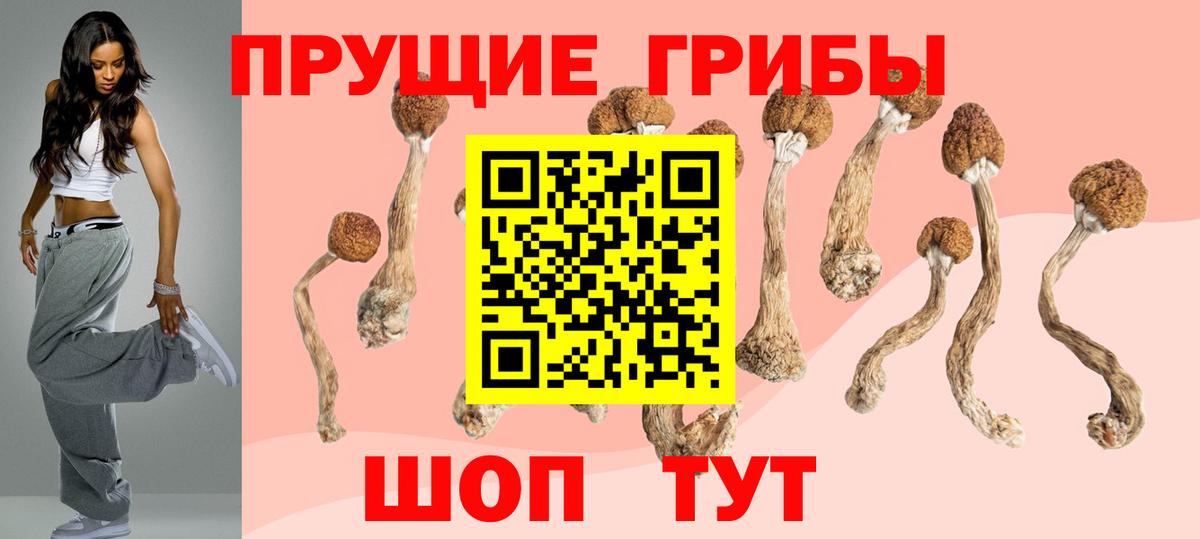 Галлюциногенные грибы GOLDEN TEACHER Рязань